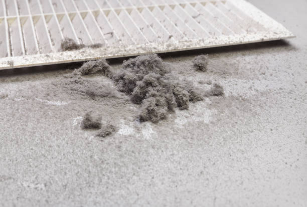 Best Residential Air Duct Cleaning  in Victoria, MN
