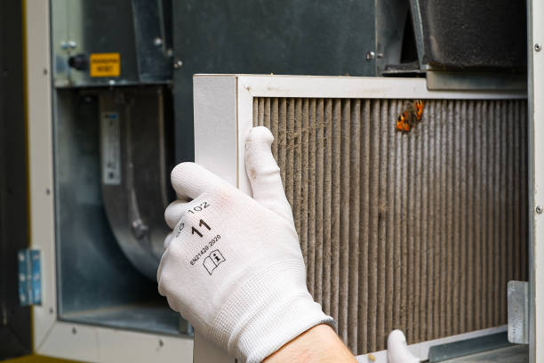 Best Dryer Vent Cleaning Services  in Victoria, MN