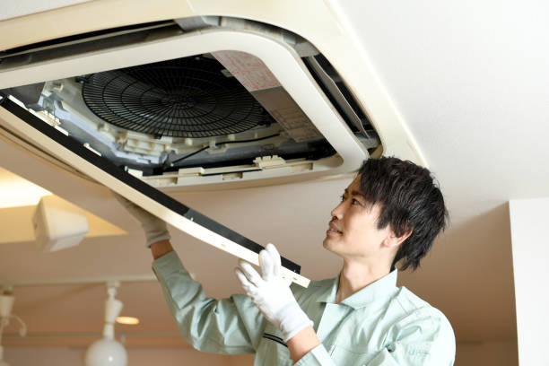 Best Ductwork Cleaning Services  in Victoria, MN