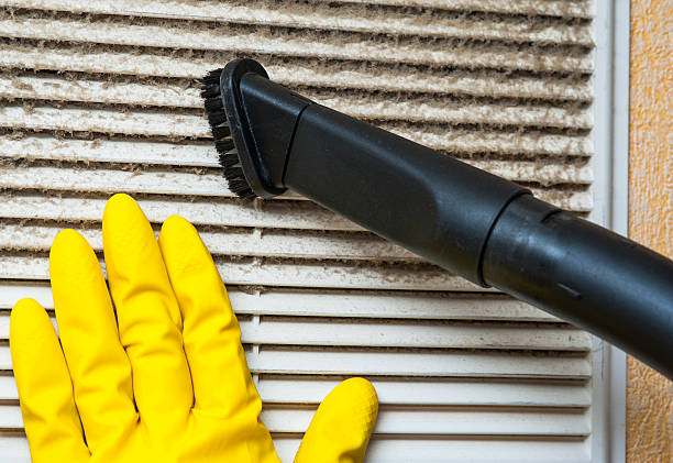 Best Commercial Air Duct Cleaning  in Victoria, MN